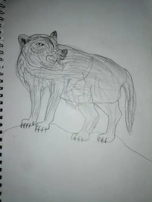 素描画|其他|其他|大凯zhao - 原创作品 - 站酷 (zcool)