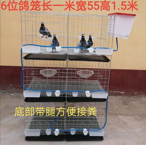 养殖鸽笼 配对笼 家用2位 4位 6位信鸽笼 阳台繁殖鸽笼 鸽子用品