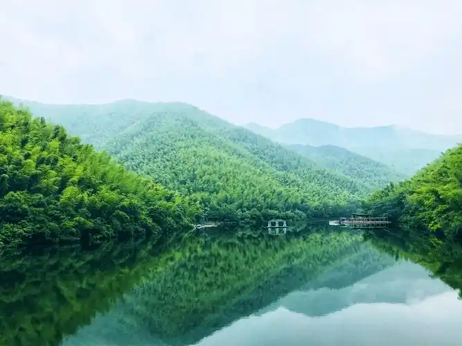 天地有清客人间有青竹