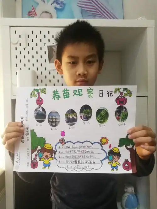 "种植收获 蒜苗飘香"—汉光实验小学三3班实践活动