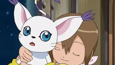 大概盘一下八神嘉儿的迪路兽进化阶段(幼年期—完全体)