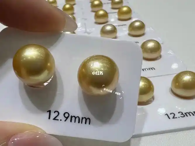 南洋金珠主要产地是菲律宾和缅甸,印度尼西亚等地,产量极低,价格非常