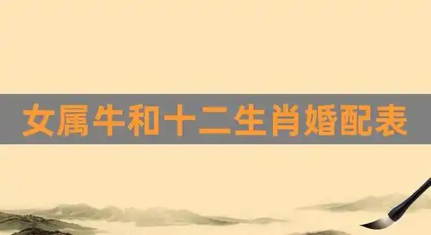 属牛1997年能和属相克的人结婚吗?