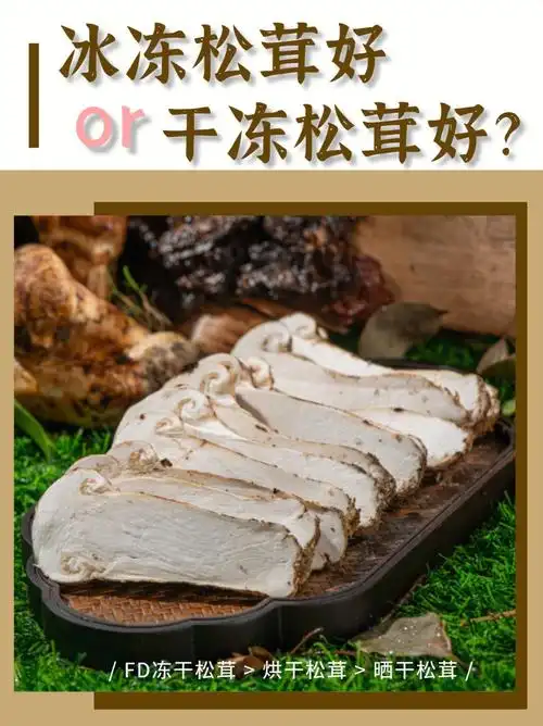 冰冻松茸or干冻松茸717171
