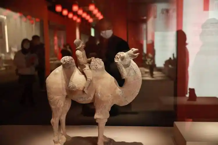 来这里云赏西安博物馆～_展品_视觉_中国