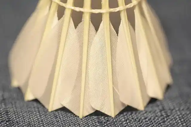 羽毛球写真:金胜利,李宁a 60,yonex as-03