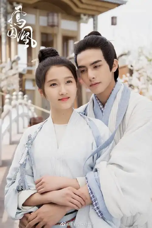 东阳欢娱影视文化有限公司联合出品,关晓彤,宋威龙,张馨予,张逸杰等