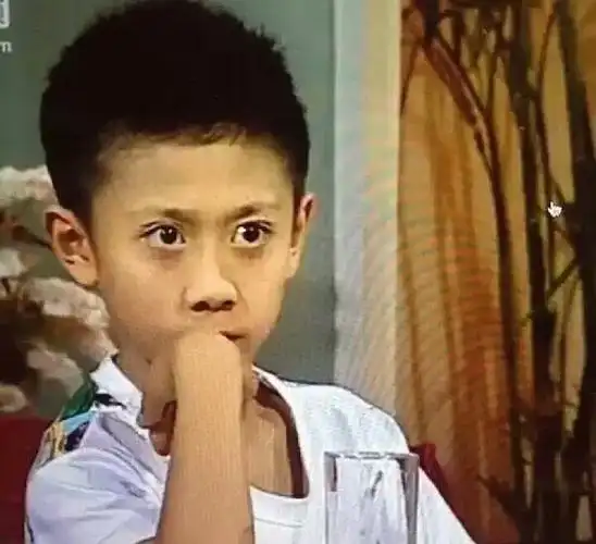 刘星 张一山 家有儿女