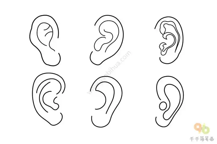 耳朵简笔画图片