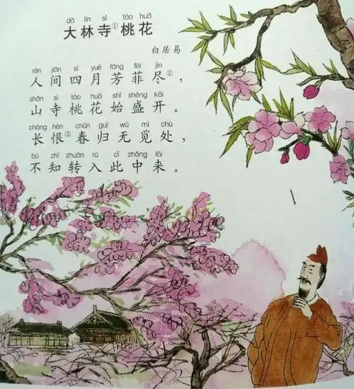 康爸亲子伴读|古诗《大林寺桃花》