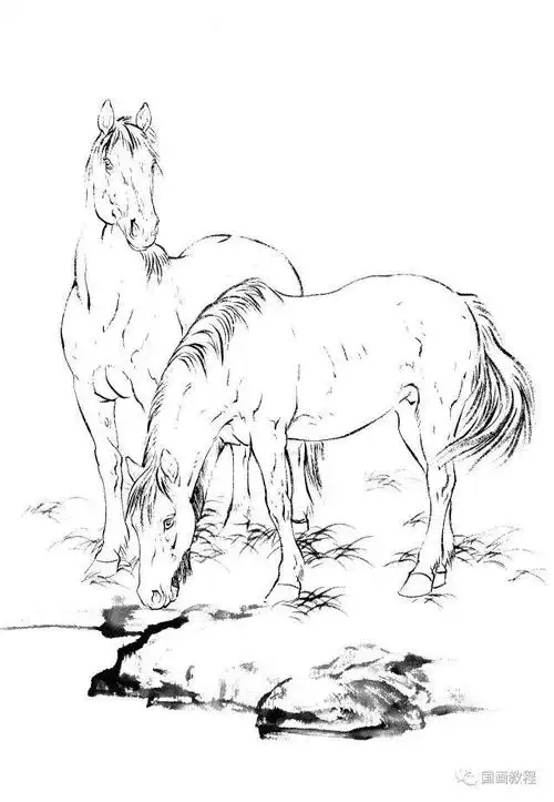 100幅老虎马等各种动物的白描合集