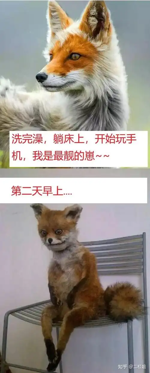 你看过哪些让人笑喷的搞笑图片?(十二) - 知乎