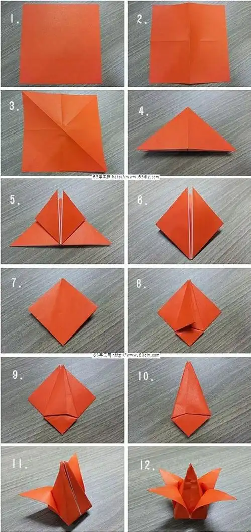 郁金香花折纸教案大班 手工折纸大全-蒲城教育文学网