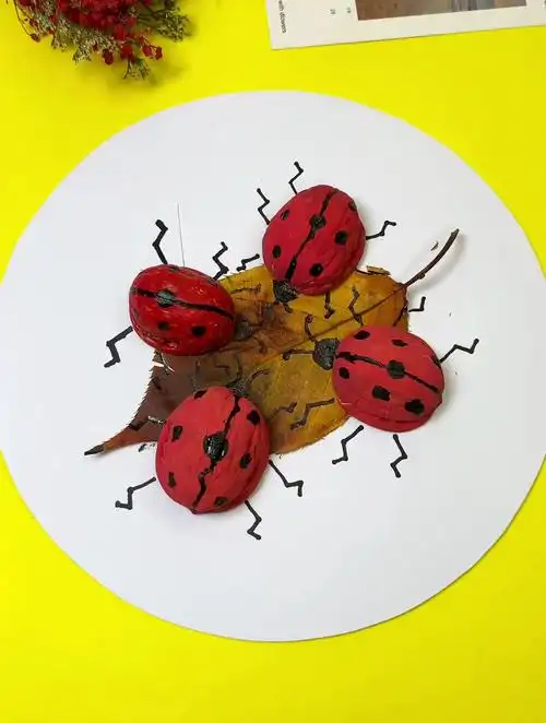 核桃壳别扔,制作可爱的七星瓢虫贴画-度小视