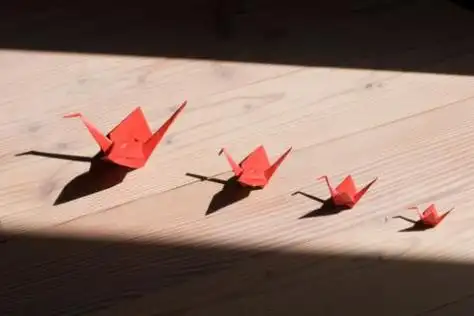 漂亮千纸鹤图片_带着祈愿的千纸鹤