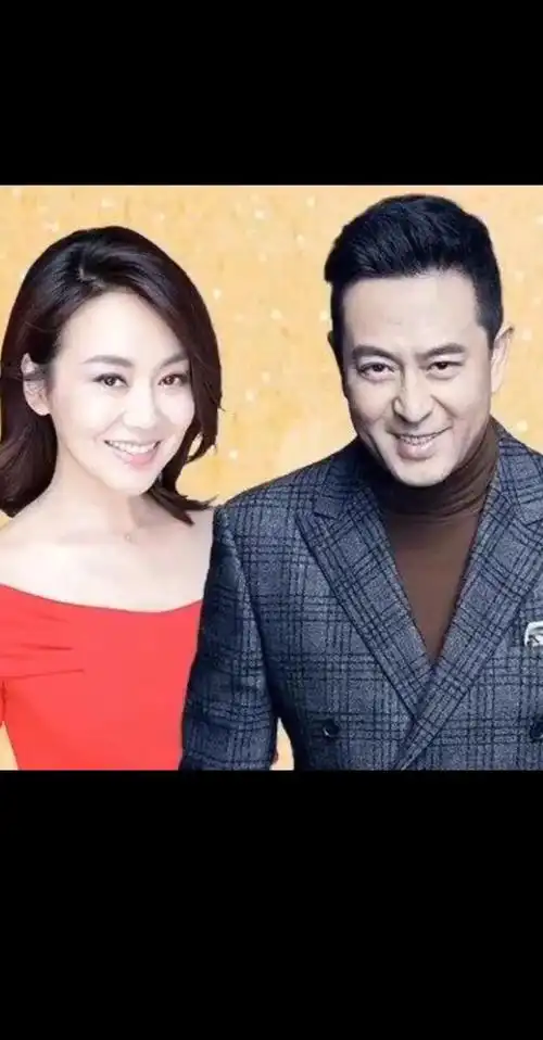 张嘉译闫妮被称为最佳搭档,你喜欢他们的哪部作品?