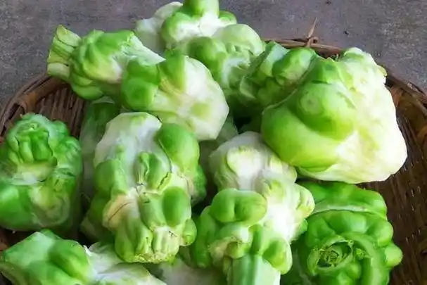 做榨菜的儿菜是个什么菜?