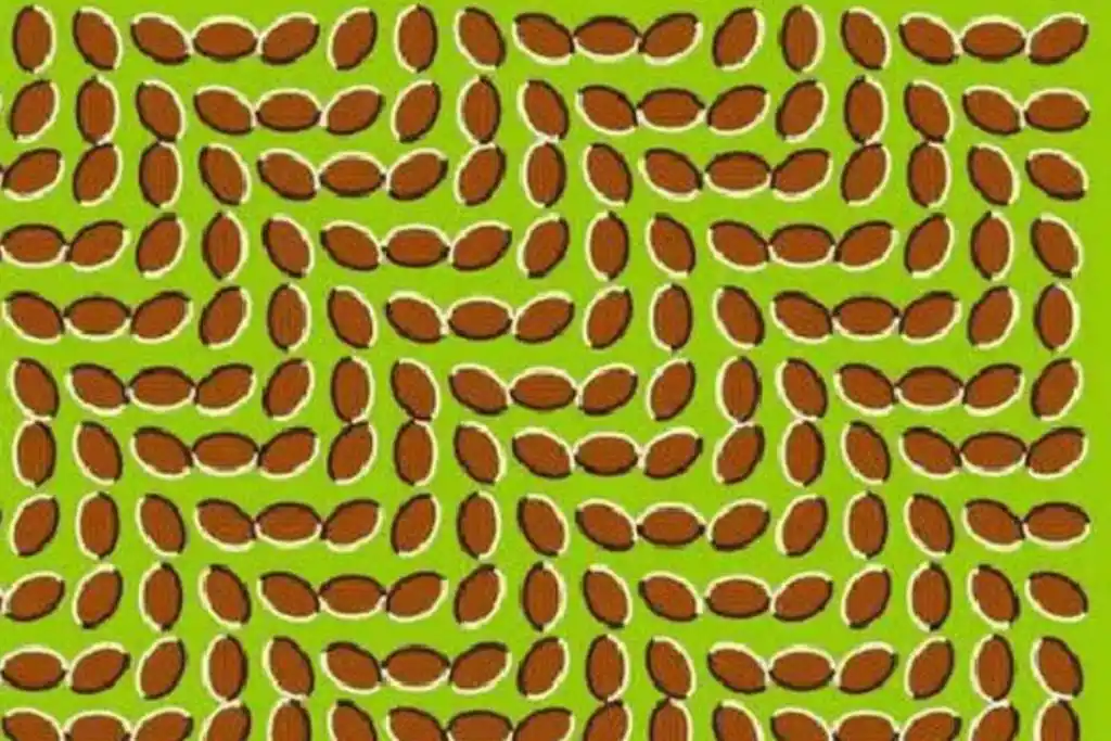 5张神奇的视觉欺骗图大全,据说智商150的都被欺骗了!