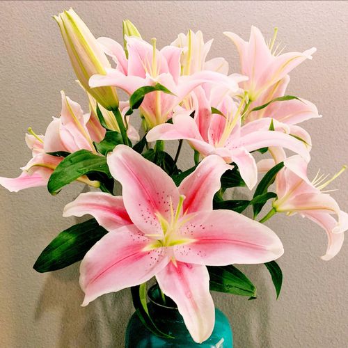 云南直发香水百合花鲜花花束水养真花鲜花配送同城速递新鲜带花苞