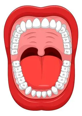中国风口腔牙科ppt模板