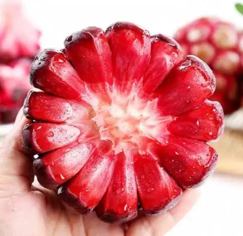 打破次元壁的神奇果实——恶魔果试吃全纪录