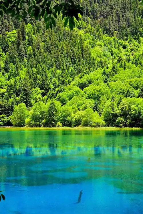 1200_1800竖版 竖屏