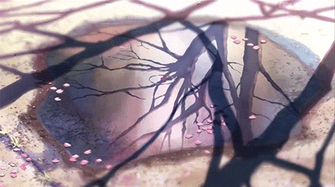 动态图79风景79唯美 - 堆糖,美图壁纸兴趣社区