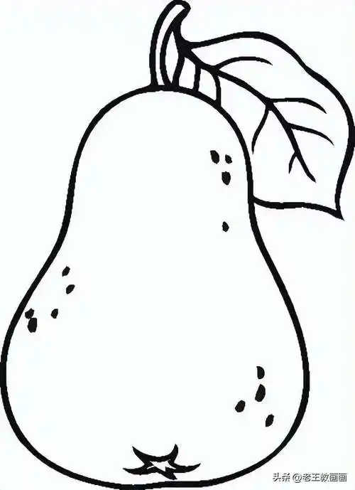 水果梨的涂色线稿资料
