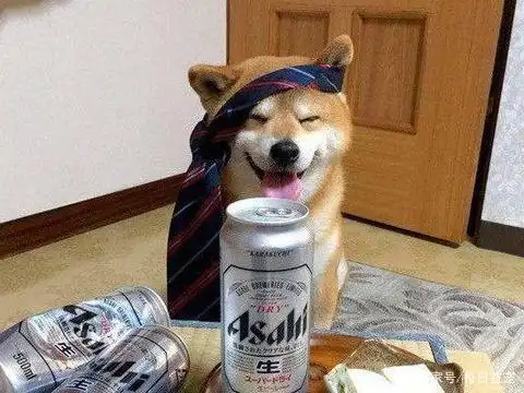 狗狗陪主人庆贺升职,喝了三杯酒后竟醉了,喝醉后样子太搞笑!