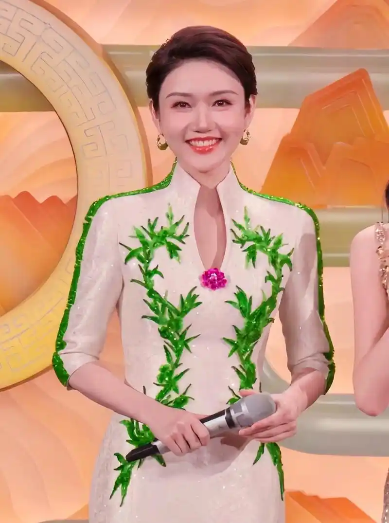 央视主持人龙洋真的好美!