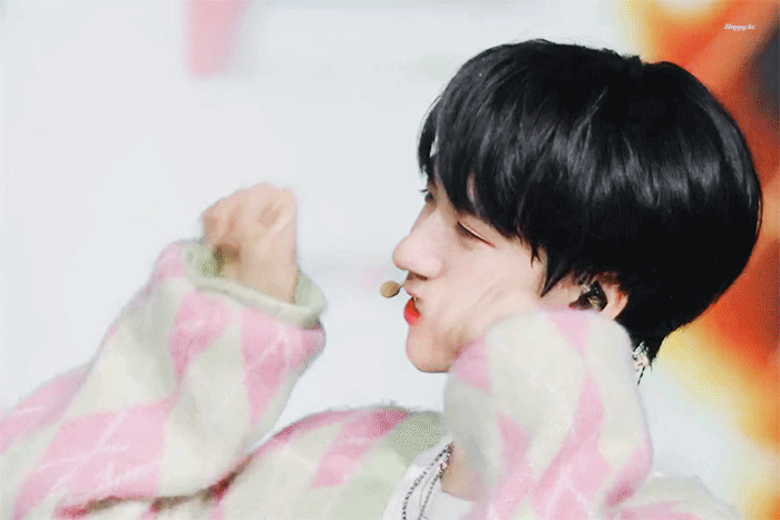 可爱的小猫,贺峻霖太知道怎么装可爱了