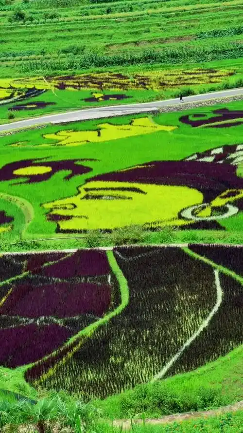 神奇的大地彩绘