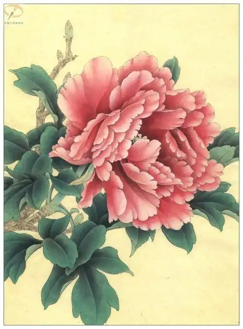 李晓明《牡丹》工笔画(着色绘制步骤图)第三辑