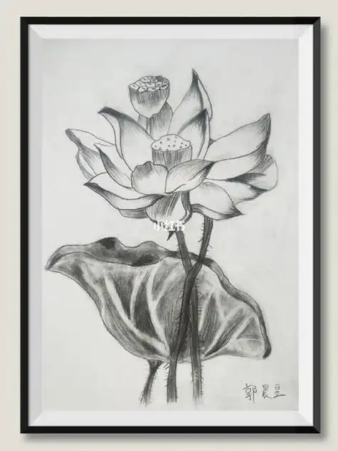 铅笔画荷花铅笔画荷花图片