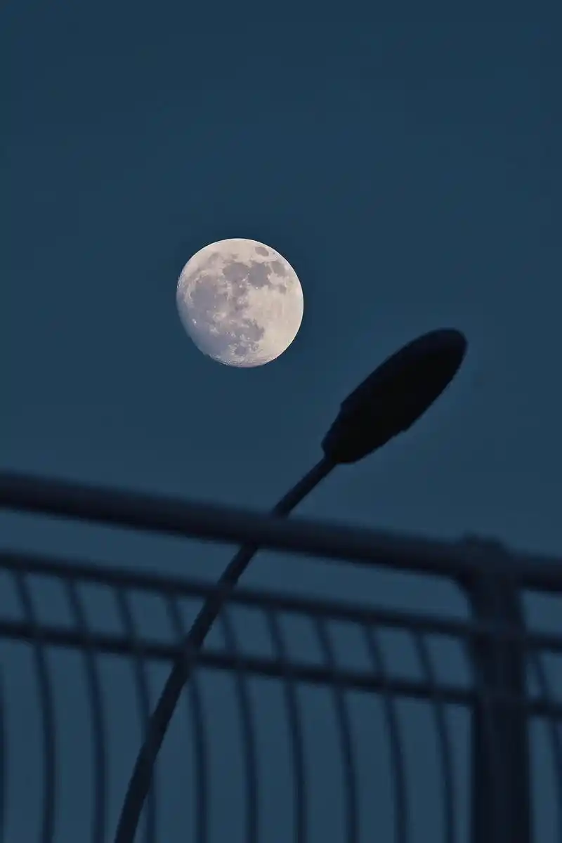 夏天 荷花 晒月光🌙.开往夏天的列车即将出发,请旅客们做好