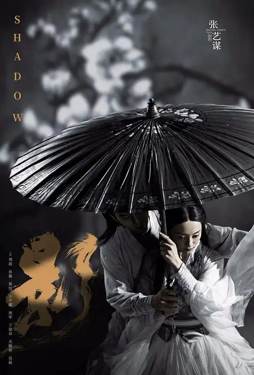 张艺谋电影作品《影》又推新海报 shadow movie poster