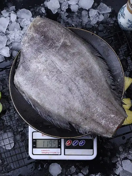 鲽鱼新鲜鸦片鱼身格兰大比目鱼冷冻整条深海辅食鲽鱼