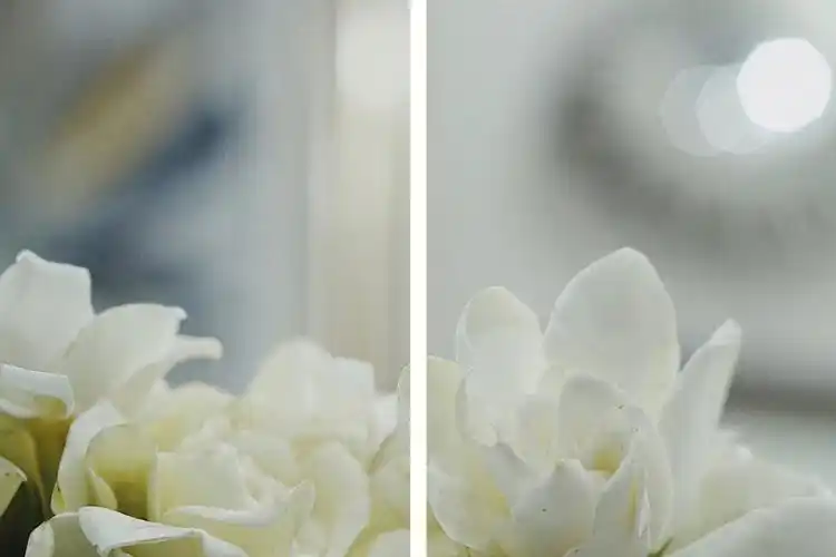 sonya6000消夏白栀入梦来