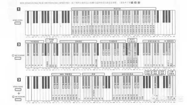 整个华语乐坛中,哪位男歌手的音域能到达4个八度?