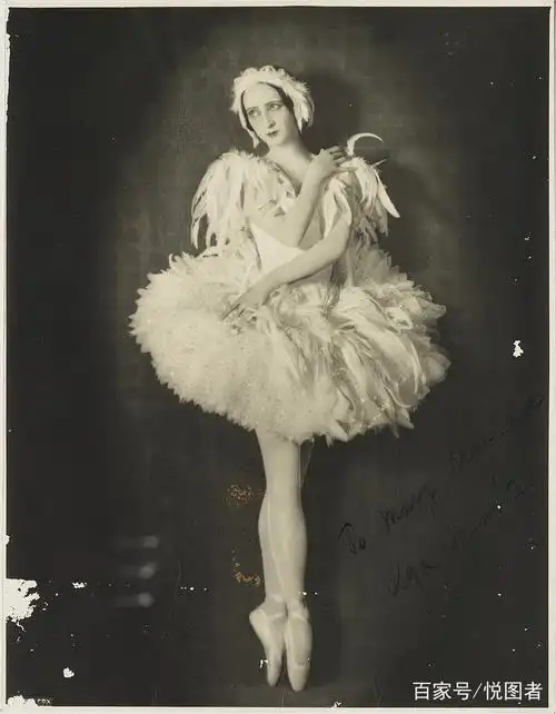 芭蕾舞 一种欧洲古典舞蹈 孕育于意大利文艺复兴时期