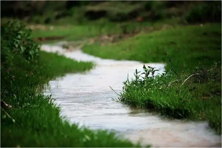 哦,故乡那条清清的小河.