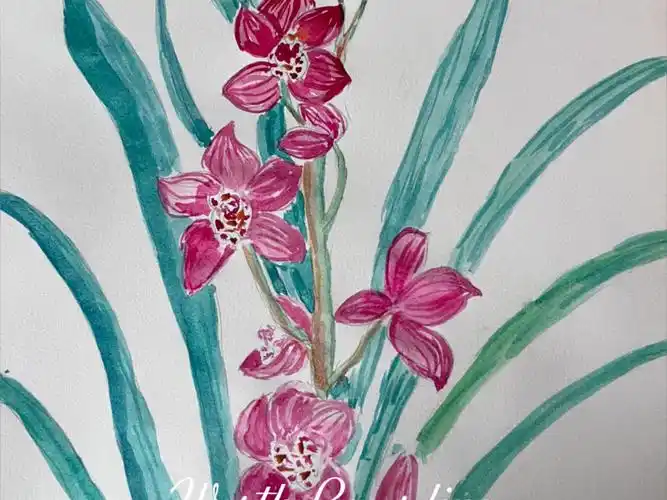 临摹花朵～一种兰花