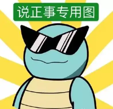 说正事专用图(杰尼龟表情包)_正事_杰尼龟表情