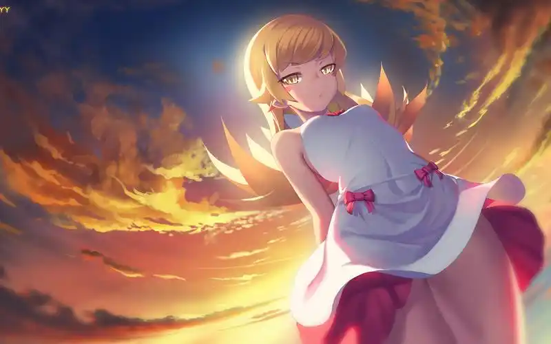 物语系列忍野忍雅赛萝拉动漫壁纸