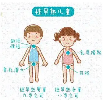 出现第二性征,并促进体格发育,一般认为女孩在8岁以前出现乳房发育,在