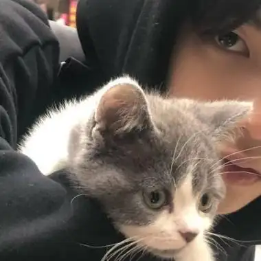 和小动物一起的暖男头像合集-男生头像-糖果壁纸