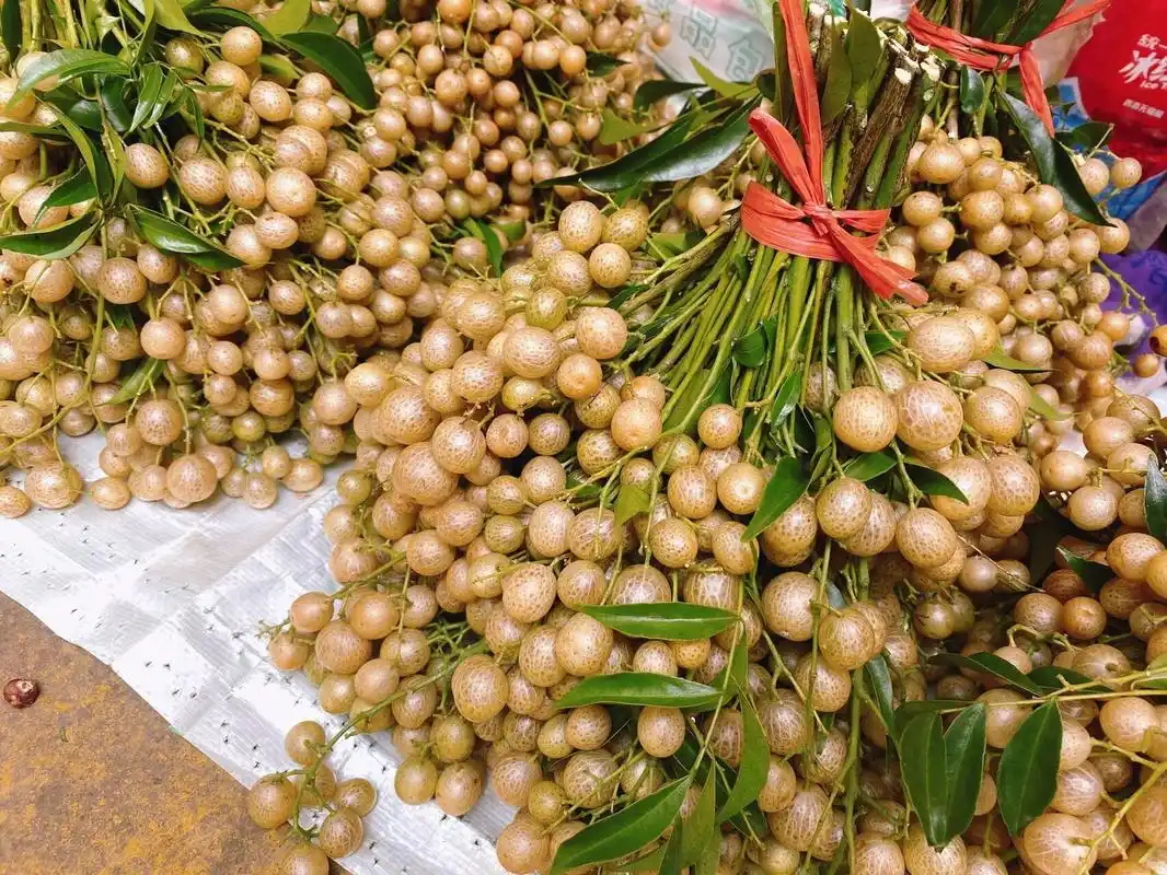 正好现在是山黄皮的季节,今天在市场买到了,晚餐就