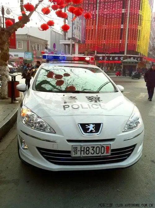 408警车!威武!一路追踪,有图有真相!