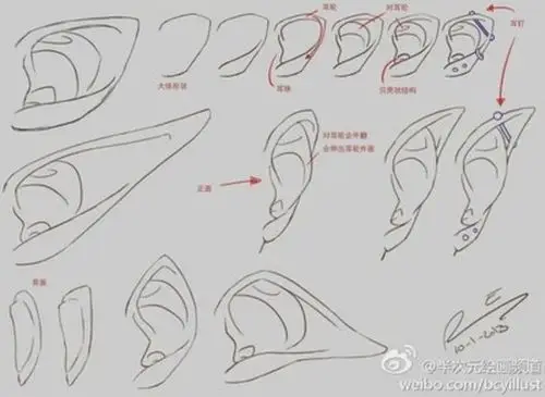 绘画教程精灵耳