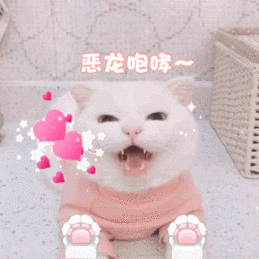 萌宠喵星人恶龙咆哮嗷呜呆萌可爱gif动图_动态图_表情包下载_soogif